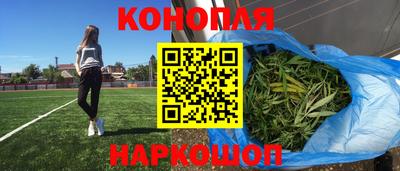 гашик Шебекино