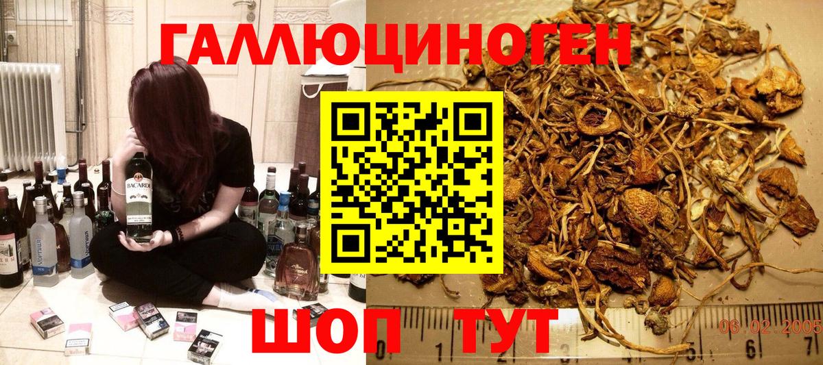 Псилоцибиновые грибы мицелий Бердск